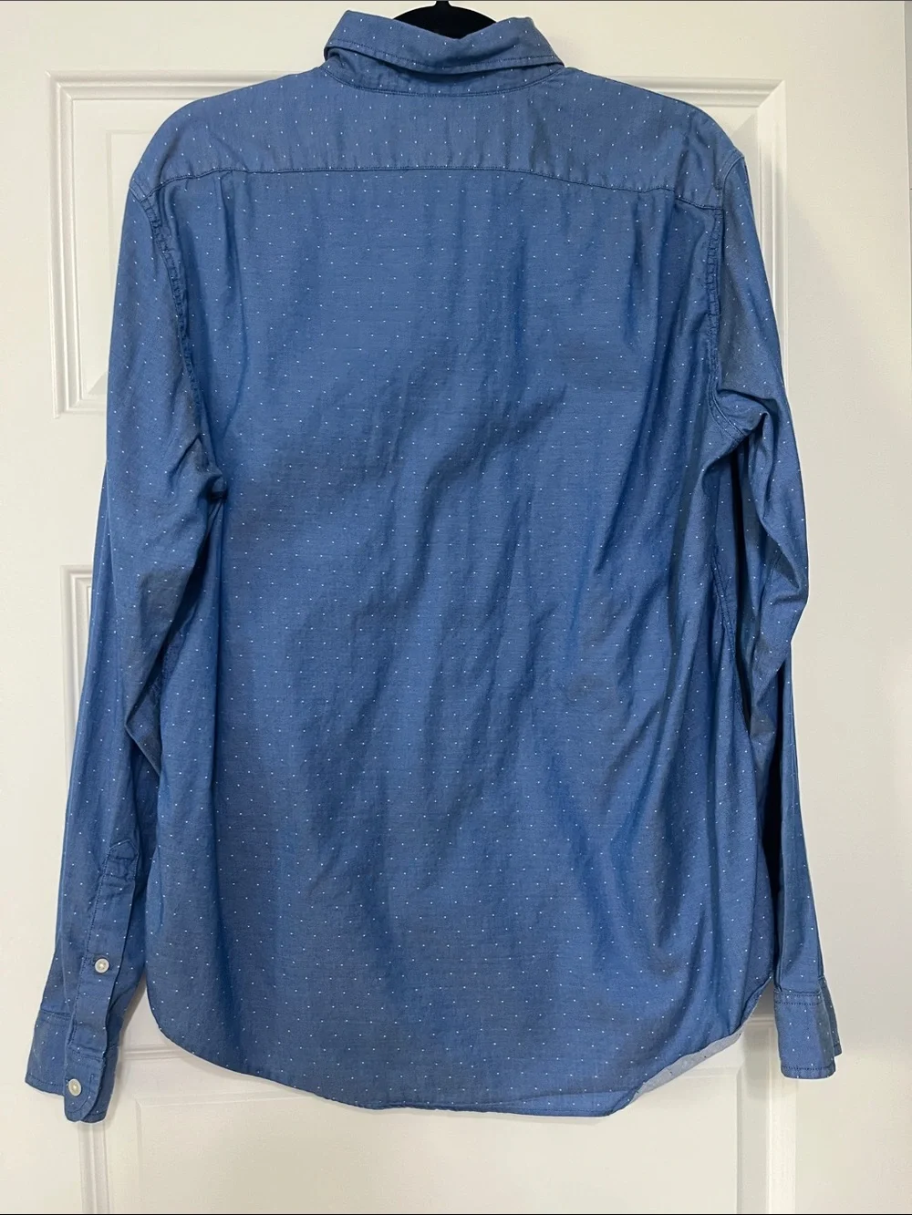 J. Crew Men's Blue Micro-Dot Button-Down Shirt